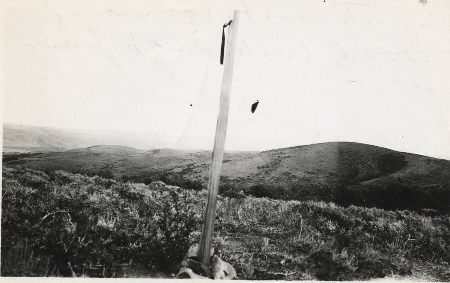 Flagged post set in hills, Ft. Hall