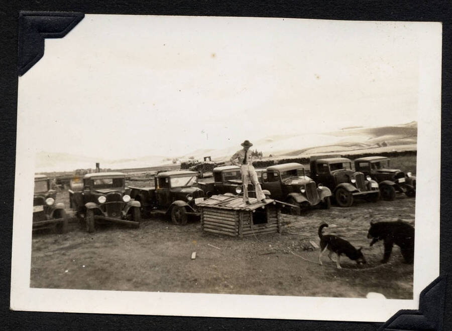 Military officer, standing on a dog house in front of a row of cars and trucks, SCS-1, C-1503. From the Paul Saft photographic album, SCS-1, C-1503, 1938-39, depicting camp life, taken mostly in the Moscow, Lewiston, Robinson Lake areas.