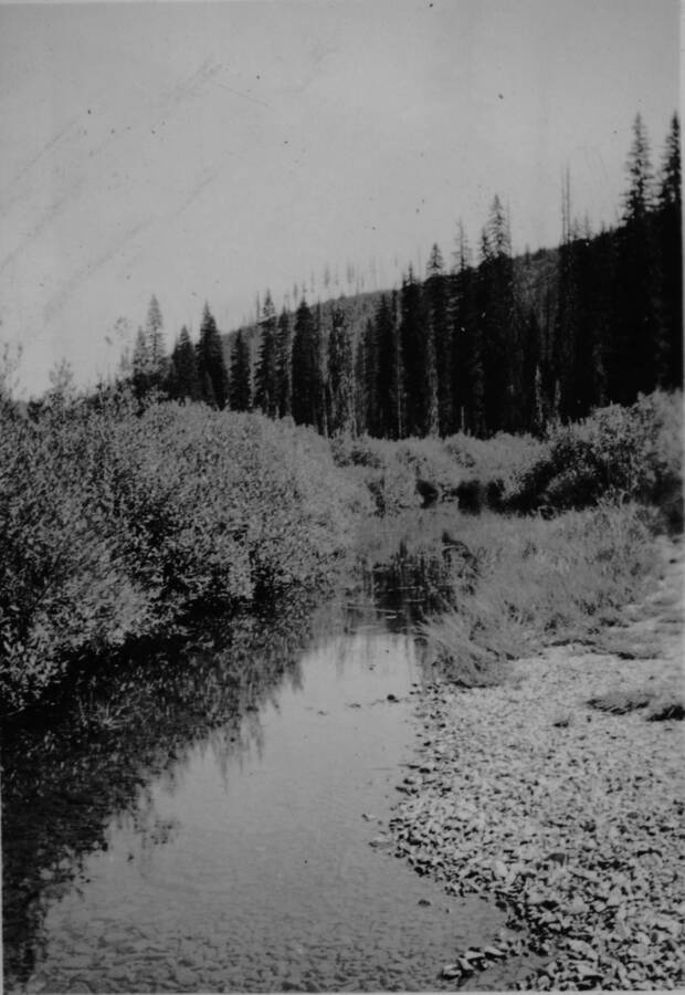 Creek near Beaver CCC Camp. Ina Quist Davis identifies it as, "A creek near Alice and Lydell's camp in Beaver."