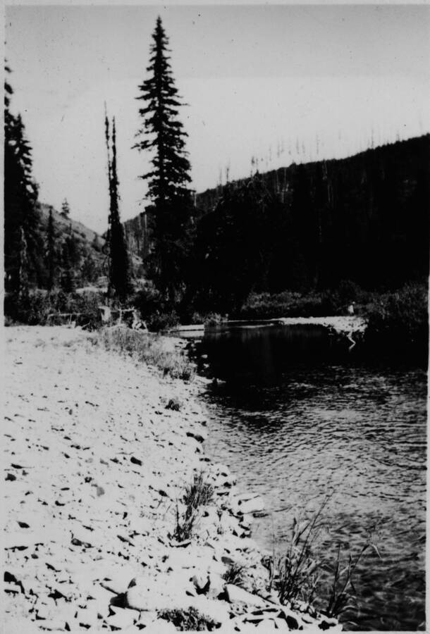 Ina Quist Davis identifies this picture as, "The head of the Coeur d'Alene River that goes through Beaver. " The back of the picture adds, "The East Fork."