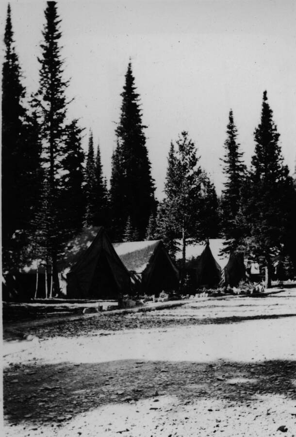 A row of tents Ina Quist Davis identified as "Beaver CCC Foreman tents."