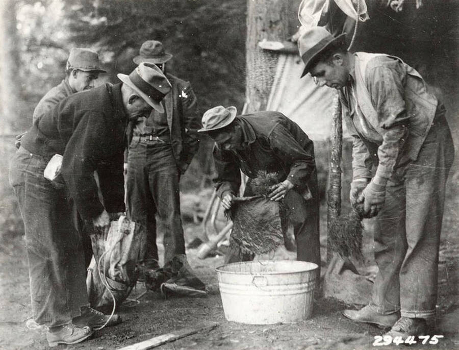 Group photo of CCC men from Camp Nowhere packing saplings into bags in preparation for replanting in the Coeur d'Alene Forest. Front of photo says: 'CCC boys from Camp Nowhere packing trees in transplanting bags preparatory to planting in the field. Coeur d'Alene National Forest 1934.'