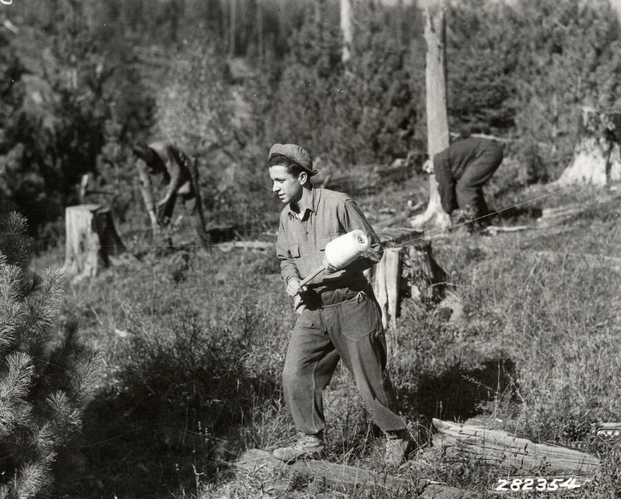CCC men from Emerald Creek CCC Camp, F-42, work on pulling up ribes in the background while a man in the foreground marks off the area to be worked with a roll of string. Back of photo says: 'St. Joe National Forest. Ribes pulling crew from camp F-42 in action. Photo by K.D. Swan September 1933'.