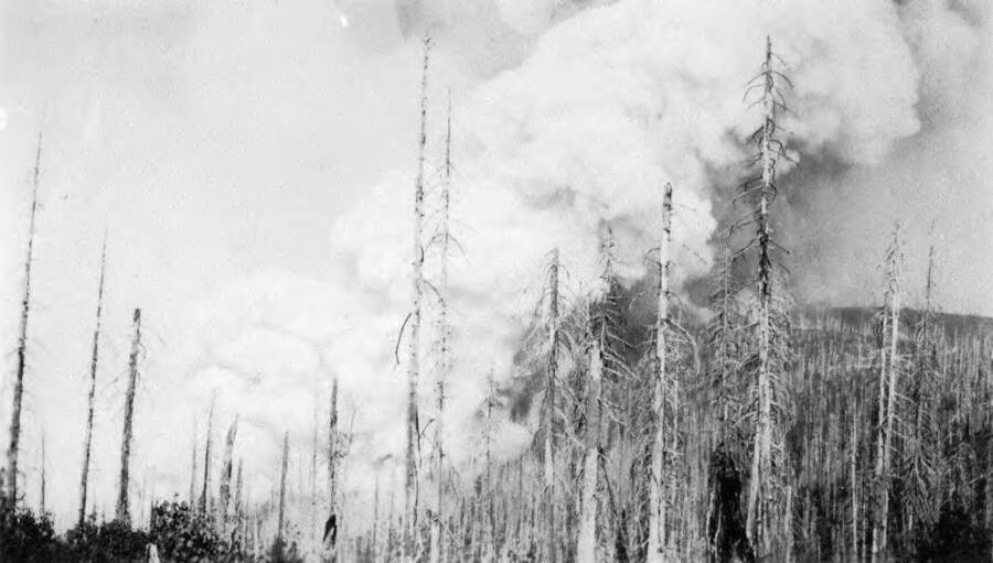 A plume of smoke rises over the forest from a fire in 1934. CCC Company 603 fought that fire near Headquarters, Idaho.
