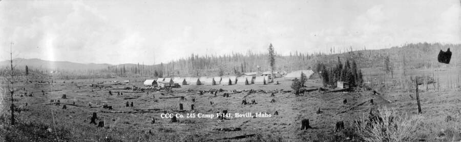 View of CCC Camp F-141 near Bovill, Idaho showing the results of a forest fire and timber harvesting. Writing reads: 'CCC Company 245 Camp F-141, Bovill, Idaho'. Writing on back of postcard reads: 'Bovill CCC Camp 1930's? donor Dawn Martin.'