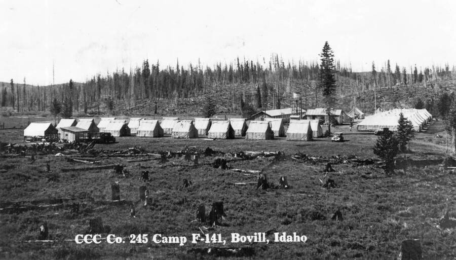 View of CCC Camp F-141 near Bovill, Idaho showing the results of a forest fire and timber harvesting. Writing reads: 'CCC Company 245 Camp F-141, Bovill, Idaho'. Writing on back of postcard reads: 'original postcard from Mike Fritz'.