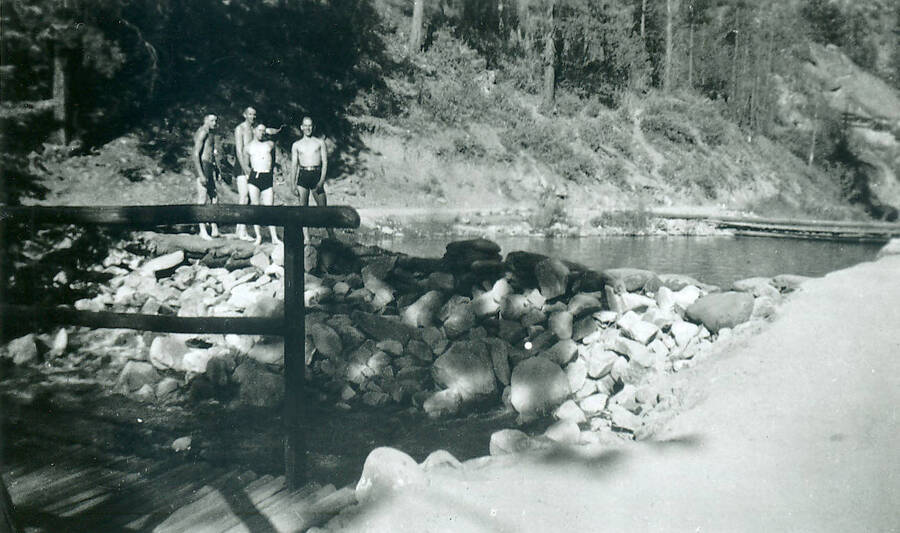 Four young men in swim trunks stand near a natural swimming pool dammed by rocks and logs.