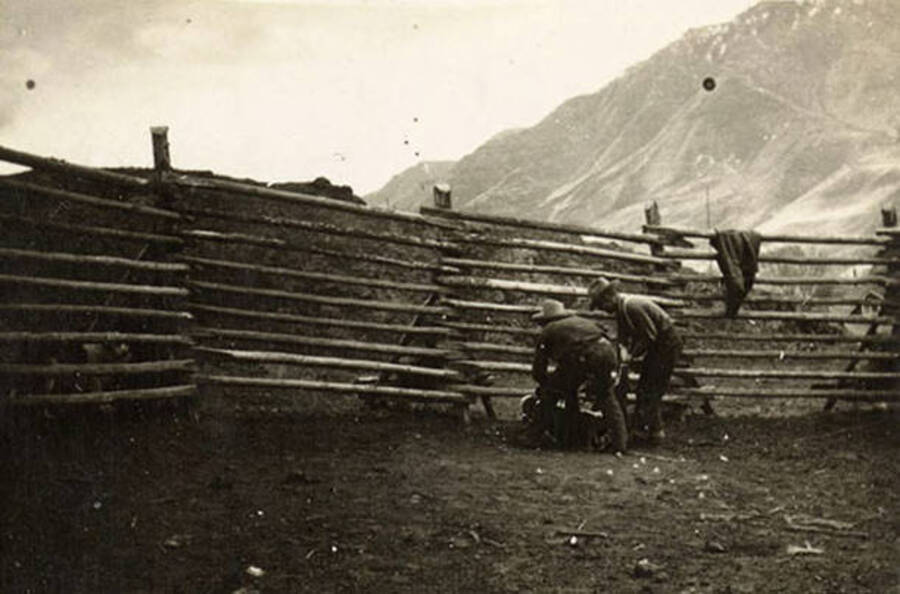 Two men brand a calf inside a corral with mountains in the background. Back of the photo reads: 'Cowboys branding a calf. -Idaho'.