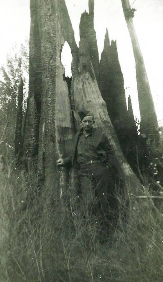 A uniformed CCC man standing in front of a burnt out tree. CCC Camp Big Creek #2, F-132. Back of the photo reads: 'There were some 'big' trees before the 1910 fire'.
