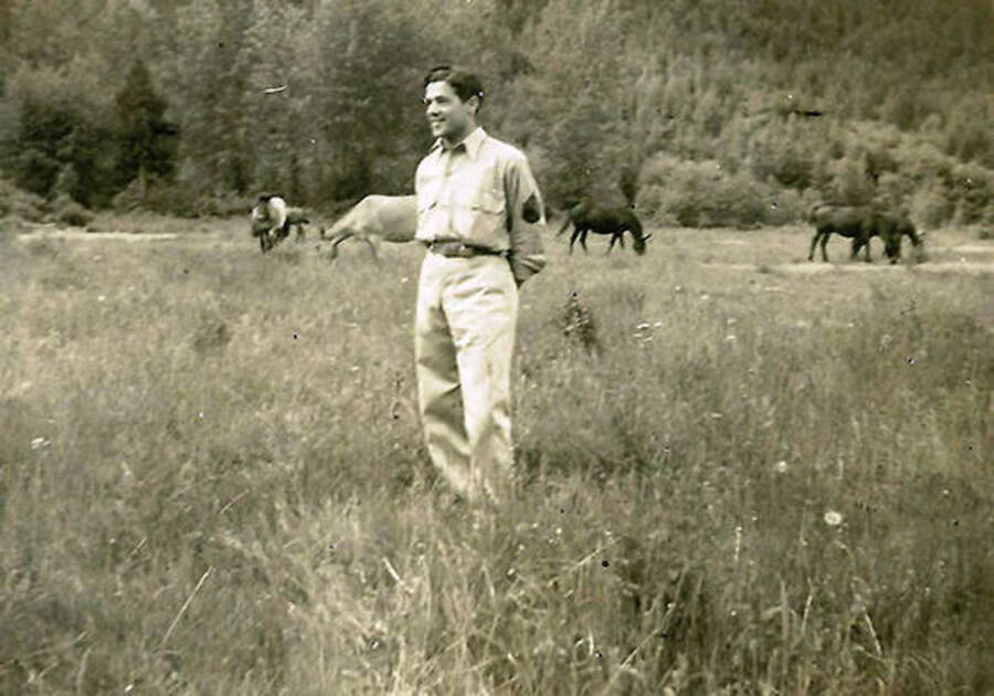 A CCC man stands in a field with horses in the background. CCC Camp Big Creek #2, F-132. Back of photo reads: 'Johnny Muscar. The 'baker' for CCC Co. 531 1939. Met Johnny in Portland, Me. 1942. He was in the Coast Guard there.'