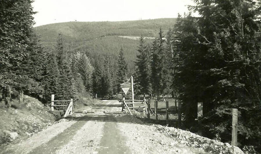 A gate and cattle guard over the road that leads into Shoshone County Park. Trees and hills dominate the landscape. Back of the photo reads: 'Cattle crossing at entrance to Park'.