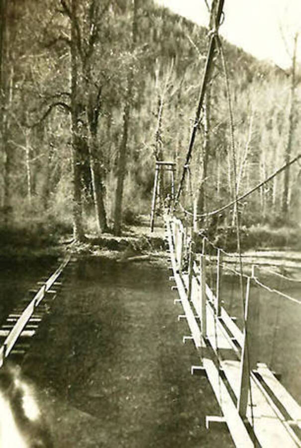 A view of the water line over The North Fork of the Coeur d'Alene River near CCC Camp Big Creek #2, F-132. Back of the photo reads: 'This is the water pipe line we built across the river to bring water down from Uranus Creek 1938'.