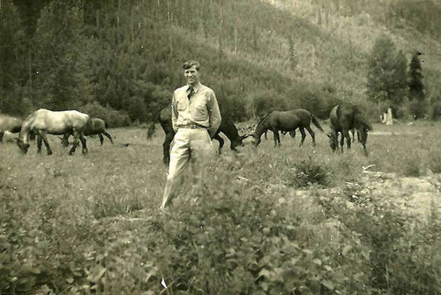 A CCC man poses in front of a herd of horses near CCC Camp Big Creek #2, F-132.