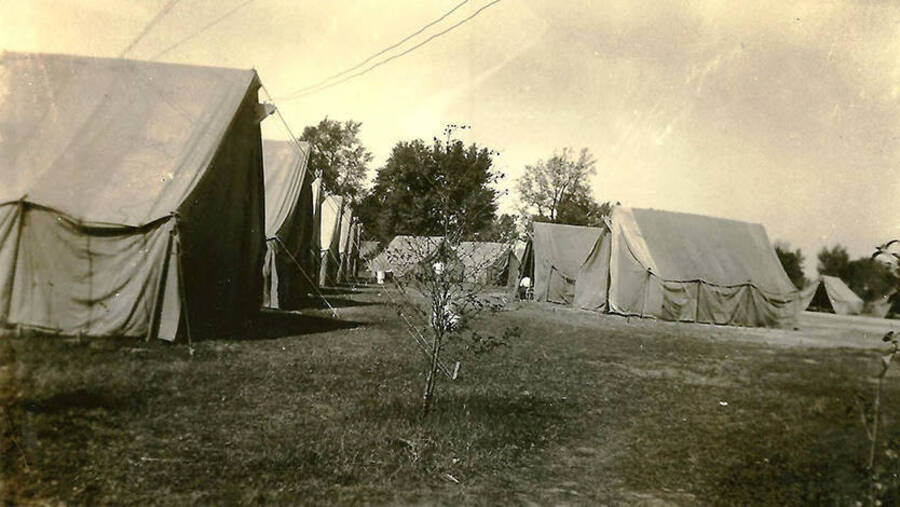 A view of several tent barracks in a CCC Camp.