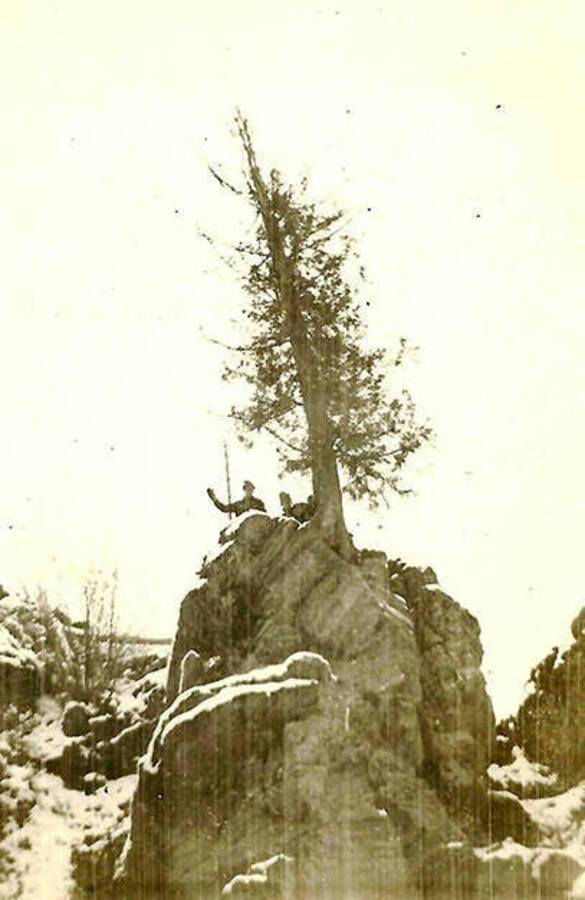 Two CCC men stand on top of a snow-covered rock formation next to a tree.