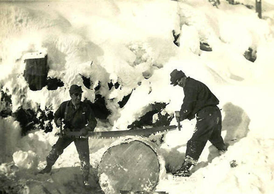 Two CCC men stand in front of a snow-covered log jam with a crosscut saw poised to start cutting a log. Back of the photo reads: 'Good size log. We did everything by hand tools in those days. We were tough kids. It helped m[ake] good soldiers when the war broke out.'