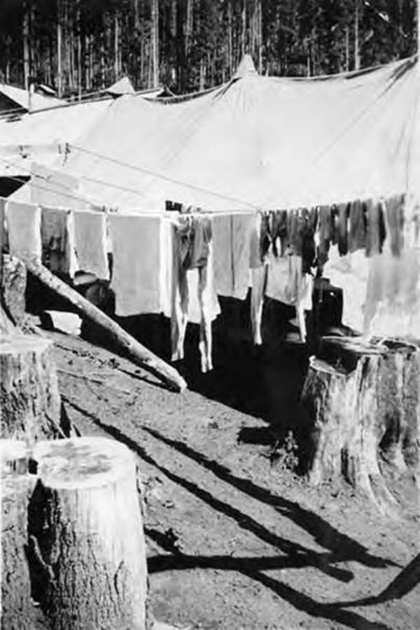 A line of laundry hangs to dry outside a tent, with tree stumps in the foreground. Writing below the photo reads: 'Wash day in camp'.