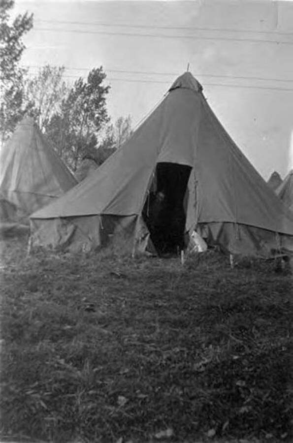 A shadowy face of a CCC man pokes out from a tent flap. Other tents can be seen rising in the background. Writing under the photo reads: 'Camp Dix'