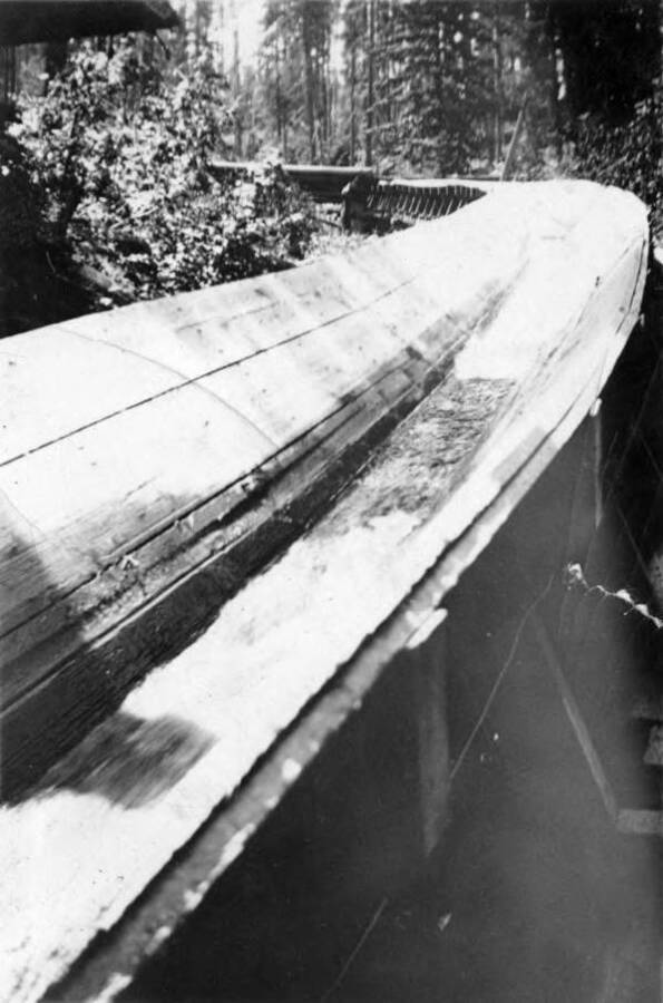A logging flume curves through the forest.