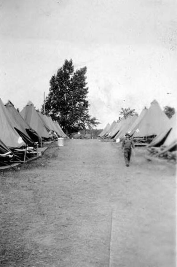A CCC man walks through a row of tents in a CCC Camp. Writing below the photo reads: 'Co. ST. 1290 Platsburg, Camp P212 Idaho'.