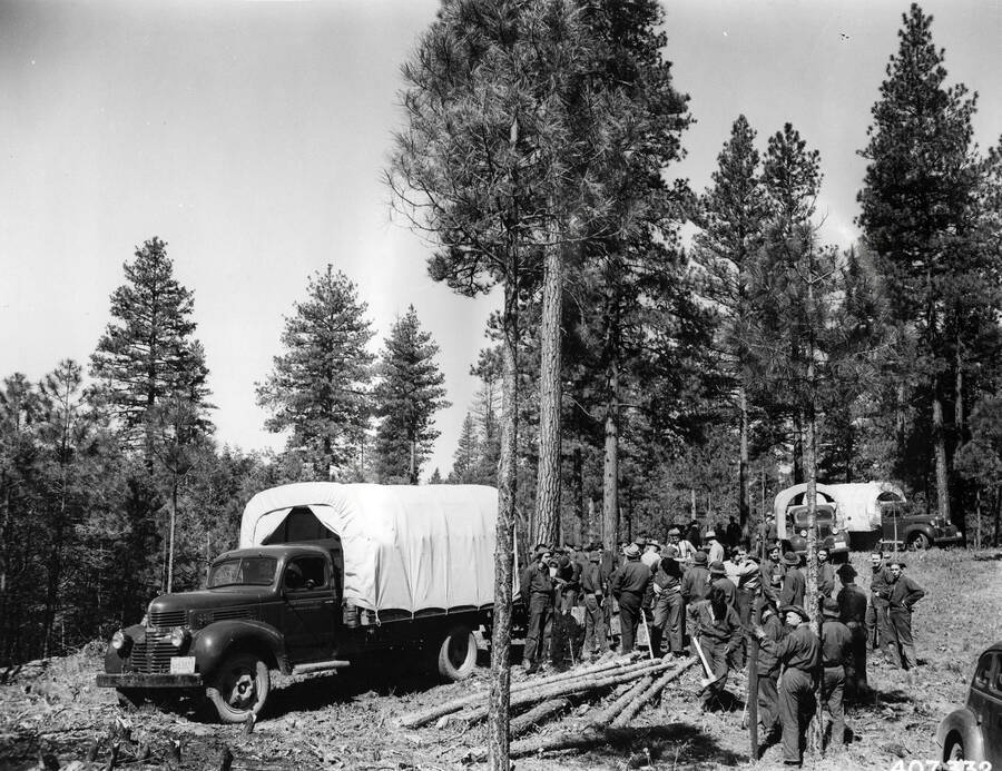 A group of CCC men standing in the woods next to a pile of logs and several covered CCC trucks. A couple of the men are holding axes.