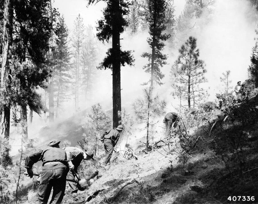 A CCC work crew working in a smoky forest with hand tools, presumably fighting a fire.