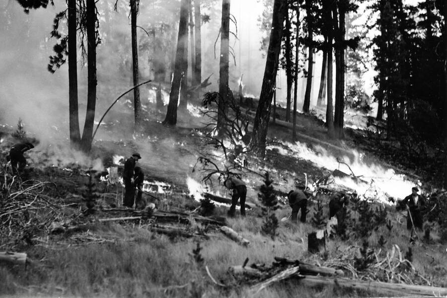 A CCC work crew working in a smoky and flaming forest, presumably fighting a fire.