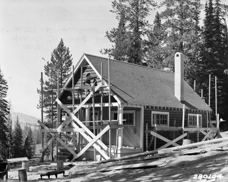 A man working on a cabin, in the middle of the forest. Scaffolding surrounds the cabin and the man is standing on the scaffolding.