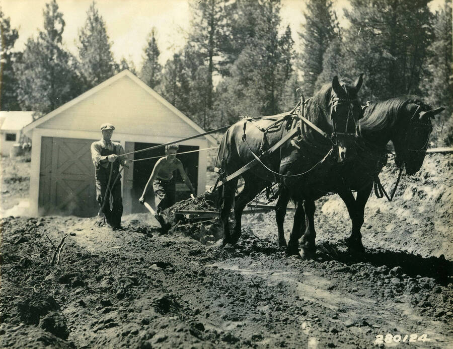 Two CCC men driving a team of horses and plowing a road. A garage is in the background. Writing above the photo reads: 'Building Road Intermountain Range & Experiment Station Idaho City, Idaho - F-72 Boise National Forest P.J. Fair - 1933.'