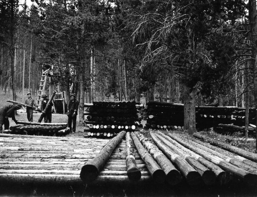 Four CCC men laying out piles of logs in perpendicular rows on top of one another. There is a tall construction (presumably a creosoting plant) just visible through the trees behind the men.