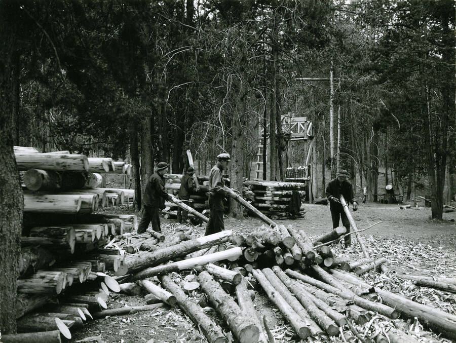 Four CCC men laying out piles of logs in perpendicular rows on top of one another. Three of the men are shaving off the bark from the logs. There is a tall construction (presumably a creosoting plant) visible through the trees behind the men.