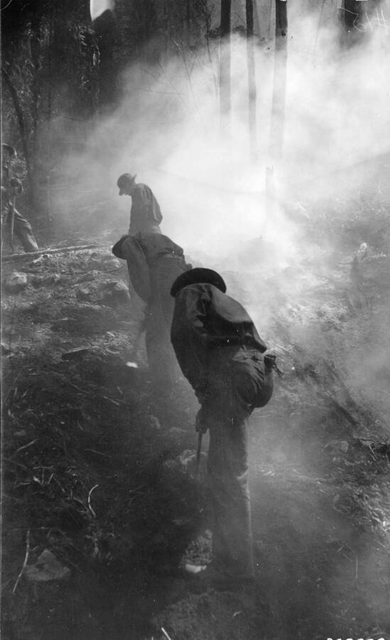 Three CCC men working in a smoky forest, presumably to fight fires. Description reads: 'CCC enrollees being trained in fire suppression.'
