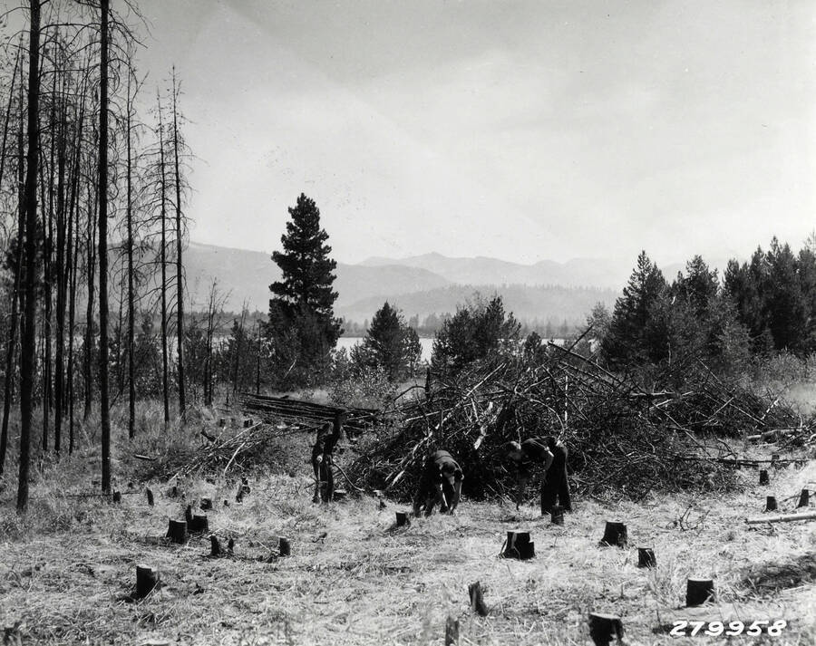 Roadside beautification near McCall. CCC enrollees are cleaning up an unsightly burned area lying between highway and Payette Lake. State Camp at McCall, Idaho.