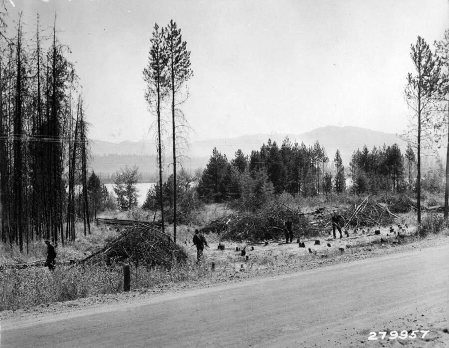 CCC men working on a project clearing burned trees from the side of the road. Description reads: 'Roadside beautification near McCall. Boys are cleaning up an unsightly burned area lying between highway and Payette Lake. State Camp at McCall, Idaho. K.D. Swan - 1933'.