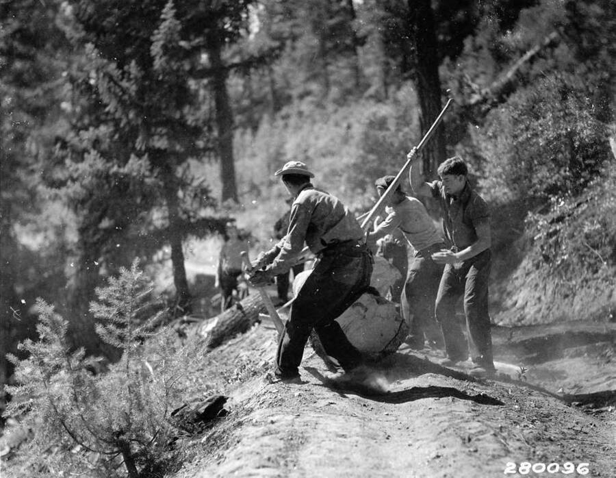 CCC Crew clearing a fallen log from a road and rolling it onto the roadside, Boise National Forest. Back of photo reads: 'CCC activities Roadside clearing, Boise National Forest, Idaho. Credit Line! This print may be reproduced with the following credit line 'Photo by U.S. Forest Service'.'