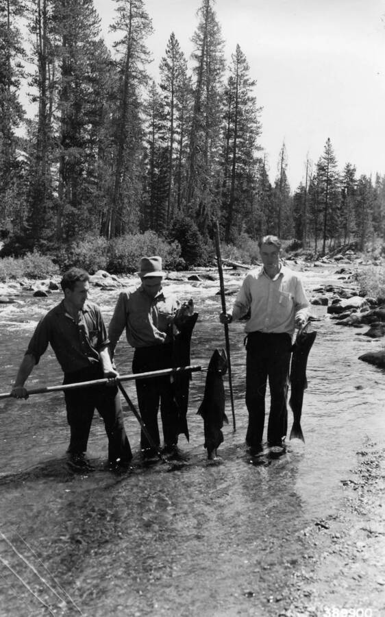 Three CCC men stand in a creek holding the fish that they caught. Description reads: 'Salmon fishers on Marsh Creek near Lolo Creek camp. Forest: Challis State: Idaho Date: July 1989 Author: Paul S. Bieler'.