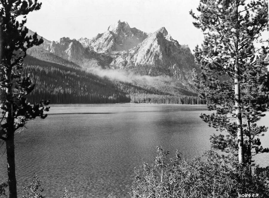 A mountain rises over a lake, framed through two trees in the foreground.