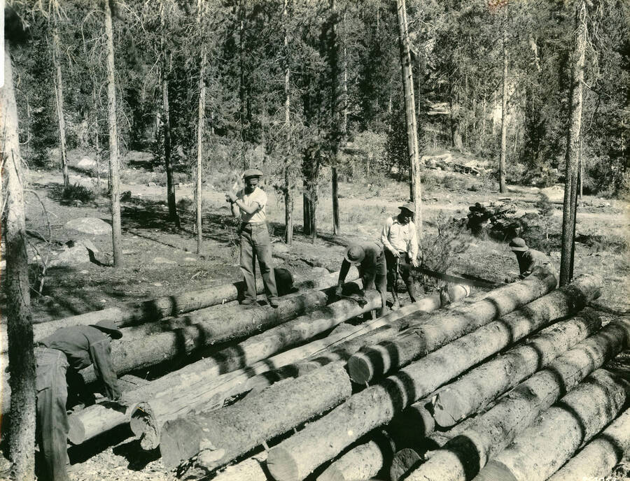 A work crew of 5 CCC men work on a pile of logs, two use a crosscut saw to even out the end of the log, two shave the bark off of a different log, while the last man stands on top of the pile of logs with an ax over his shoulder.