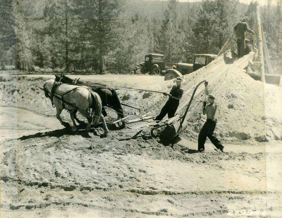 The many steps of loading gravel into a truck are shown: Two men drive a pair of horses pulling a large shovel to direct gravel to the bottom of a ramp. There is a man at the top of the ramp that is dumping a wheelbarrow of gravel into the waiting truck below. Description reads: 'CCC's load gravel for road to Redfish Lake. Forest: Sawtooth N.F., State: Idaho, Date: 1930's'.