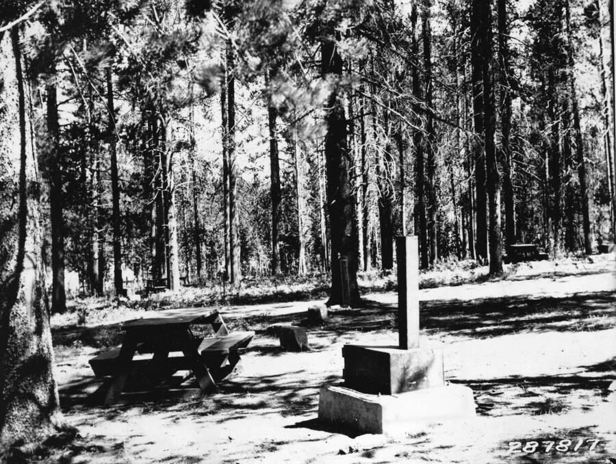 Several campsites in the middle of the woods. The campsites have a picnic table, a fire circle, and a campstove.