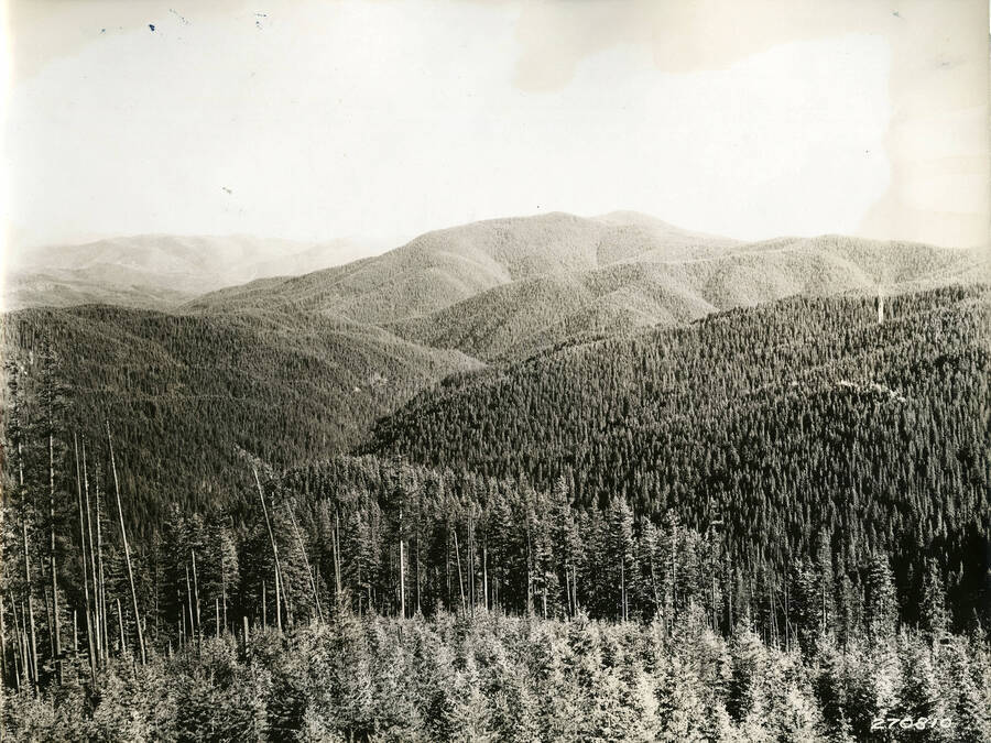 A landscape of wooded hills spanning into the distance. Description reads: 'L-Scenery, 270810, Other Regions. View into the head of Steamboat Creek from McDonald Lookout (Coeur d'Alene National Forest, Idaho). Taken by K.D. Swan. July and August 1932.'