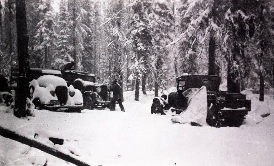 Three trucks in deep snow in the middle of the forest.