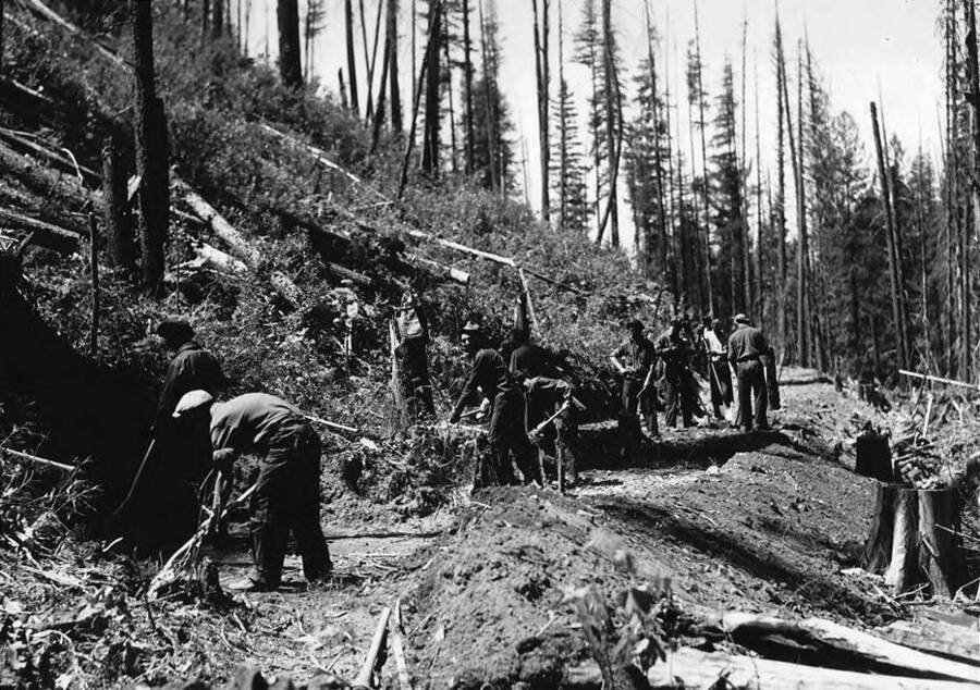 Group photo of a CCC work crew working on a truck trail to Looking Glass Lookout, in the Priest River Experimental Forest, near Idaho Camp F-110. Back of photo reads: 'Crew working on truck trail to Looking Glass Lookout. Priest River Experimental Forest. Idaho Camp F-110 Taken by K.D. Swan.'