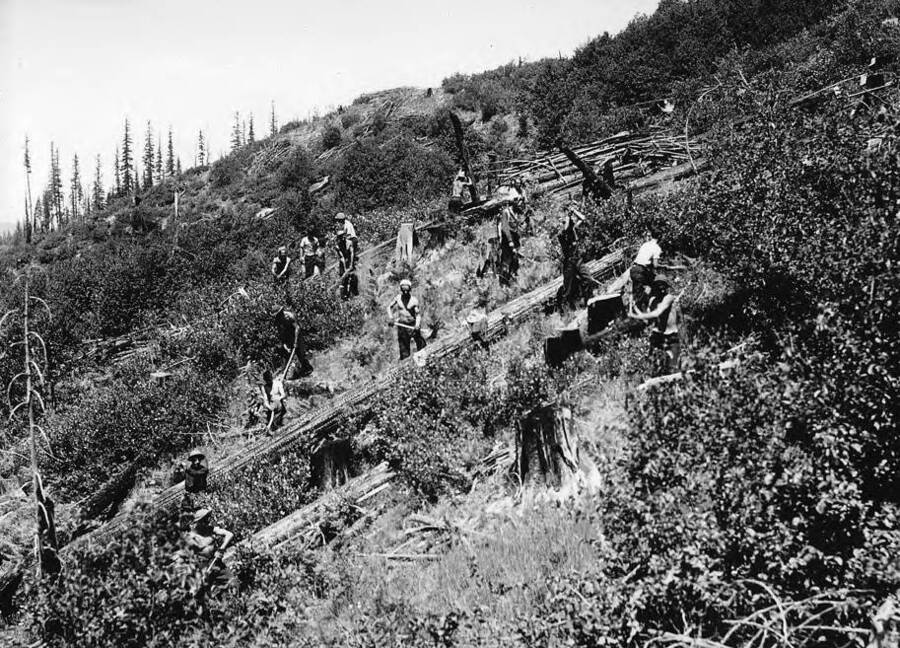 Group photo of a CCC work crew removing snags and downed timber in the Priest River Experimental Forest near Idaho CCC Camp F-110. Back of photo reads: 'Cleaning up snags and down timber on Arboretum area. Priest River Experimental Forest. Idaho Camp F-110 Taken by K.D. Swan.'