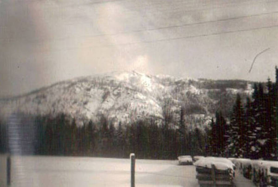 Piles of firewood in a snowy field with a forested mountain in the background. Writing under the photo reads: 'Cascade Mt'.