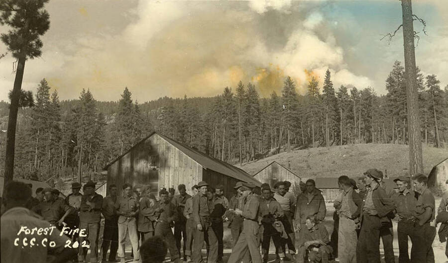 CCC company standing in camp with a fire burning the hills in the background. Writing on the photo reads: 'Forest Fire C.C.C. Co 202'.