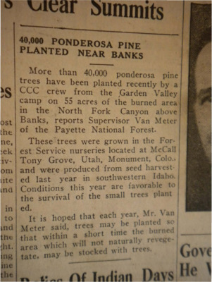 Column about the recent planting of over 40,000 Ponderosa pine trees by Garden Valley CCC crews on 55 acres of burned land in the North Fork Canyon.