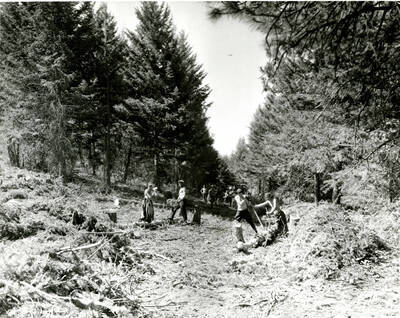 Work crew clearing trail, Camp Shafer Butte, Idaho