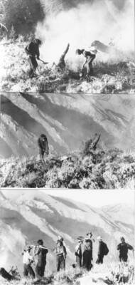 Fire fighting at Deer Creek, Sawtooth National Forest; #360620 'First arrivals to a forest fire.'