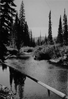 Picture of the East Fork River.